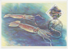 Maximum card Rossija 1993