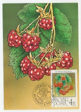 Maximum card Hungary 1986