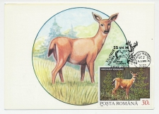 Maximum card Romania 1993