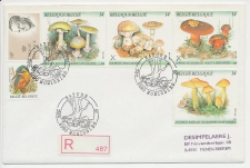 Registered cover / Postmark Belgium 1991