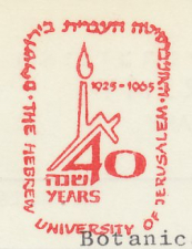 meter cut Israel 1965