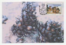 Maximum card Transkei 1989