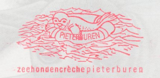 Meter picture postcard  Netherlands 2000