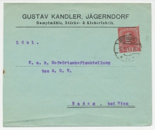 Postal stationery Austria ( 1918 )