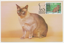Maximum card Venda 1993