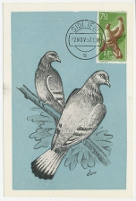 Maximum card IFNI 1957
