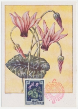 Maximum card Austria 1949