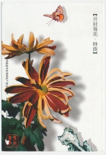 Postal stationery China 2004