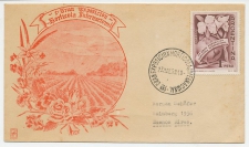 Cover / Postmark Argentina 1959